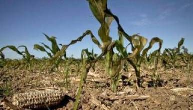 La Provincia adelantó que brindará ayuda a productores afectados por la sequía