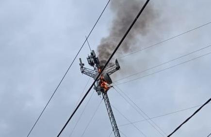 Un nido de cotorras produjo el incendio de una antena de telefonía celular en Obrien y medio pueblo está sin servicio