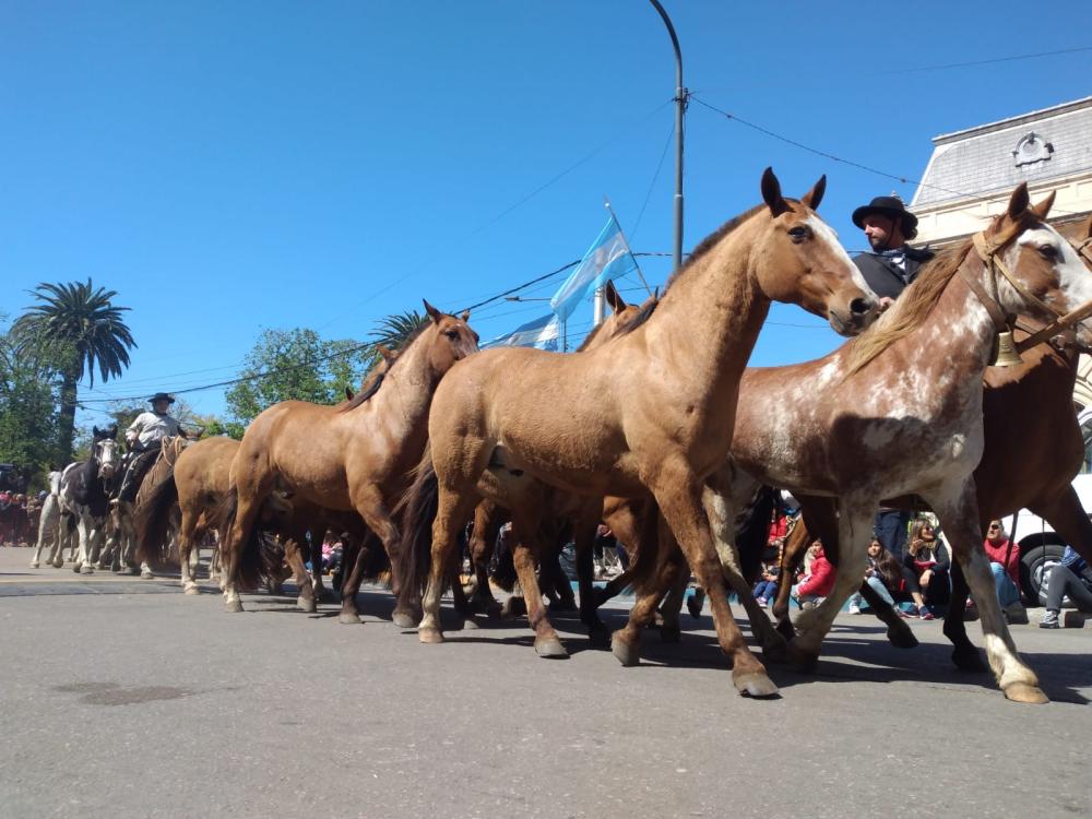 A pleno sol , Bragado vive la Fiesta del Caballo con récord de público