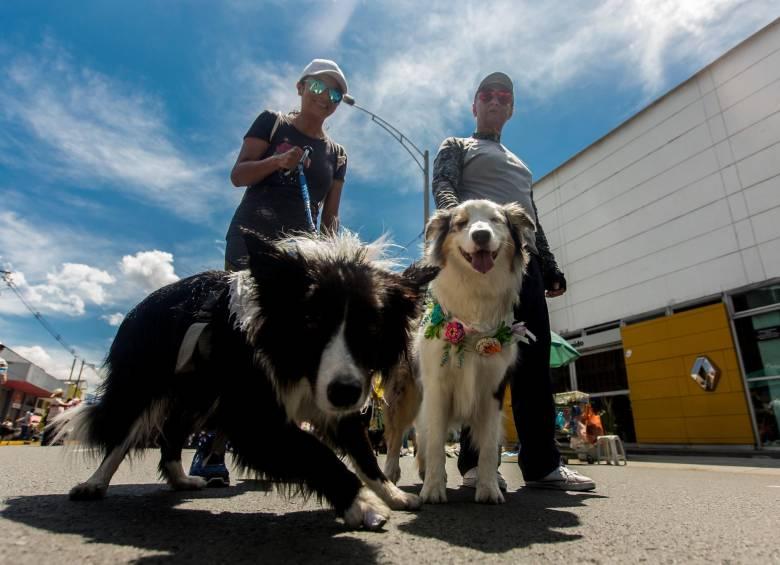 Organizan una "Caminata canina" a beneficio de Fundapab