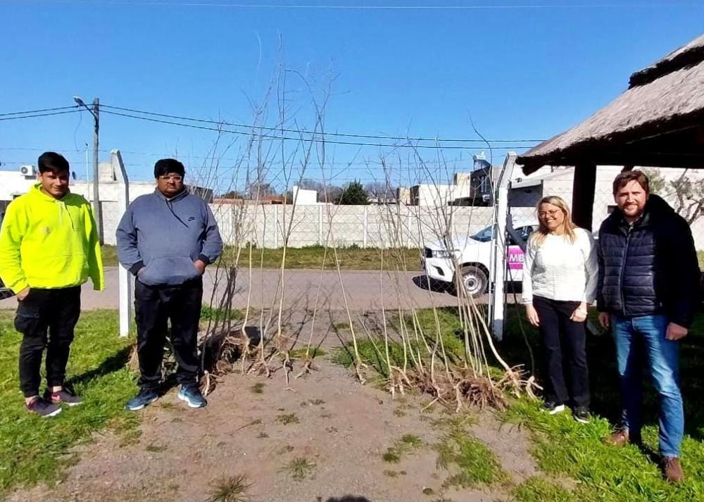 Impulsan la forestación en los barrios y localidades rurales