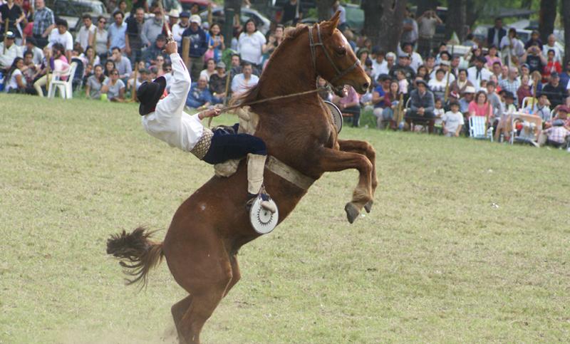 Fiesta del Caballo: se ultiman detalles para el espectáculo de jineteada