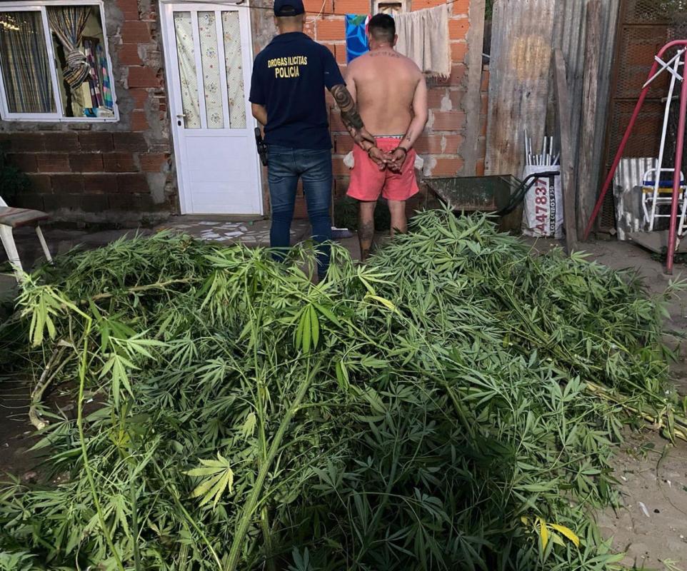 Secuestran drogas en un domicilio del barrio El Bajo