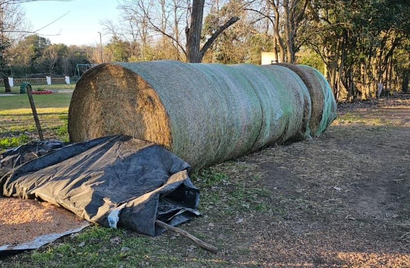 Robaba fardos de alfalfa en un campo de La Limpia y los vendía por Facebook