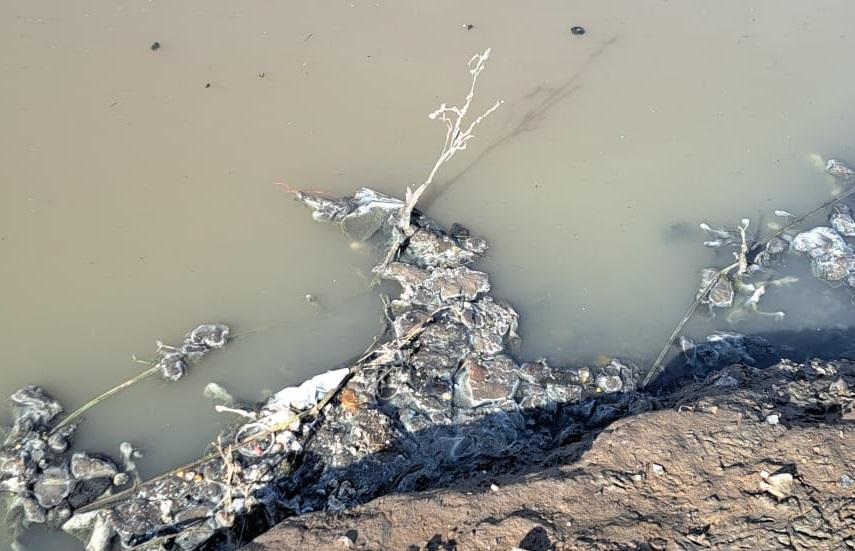 Laguna: Estudiantes detectaron contaminación con materia fecal hasta cincuenta veces mayor de lo tolerable.